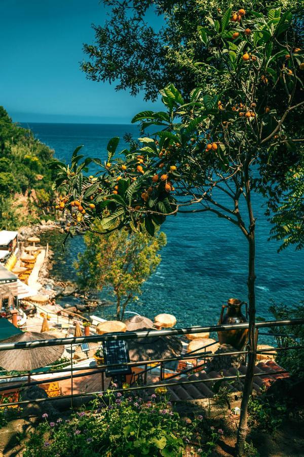O' Vagnitiello - Parco Balneare Idroterapico - Camere - Ristorante Casamicciola Terme Εξωτερικό φωτογραφία